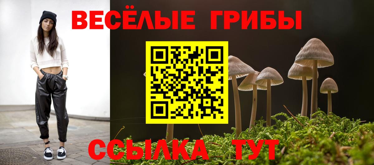 Галлюциногенные грибы MAGIC MUSHROOMS  Вход с VPN  Гусиноозёрск 
