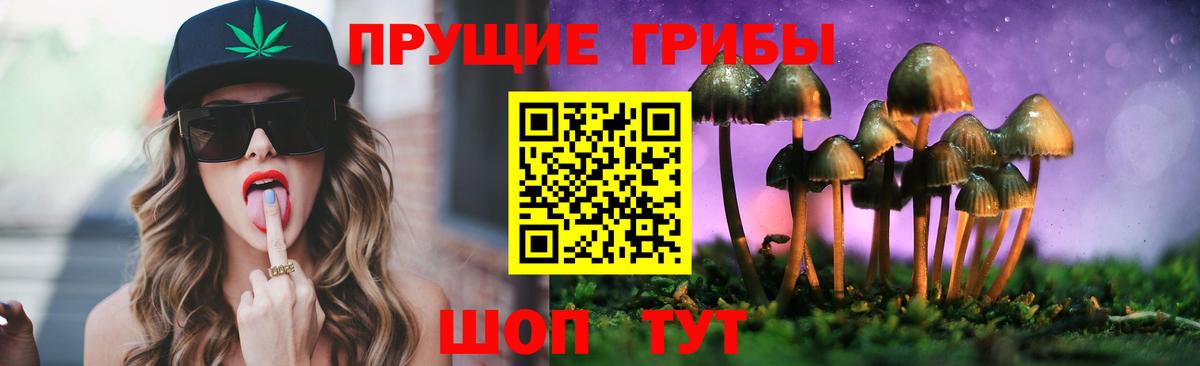 Галлюциногенные грибы прущие грибы Гусиноозёрск
