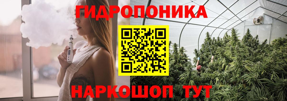 Марихуана семена  Вход с VPN  Шишки марихуана OG Kush  Канабис тримм  Гусиноозёрск 